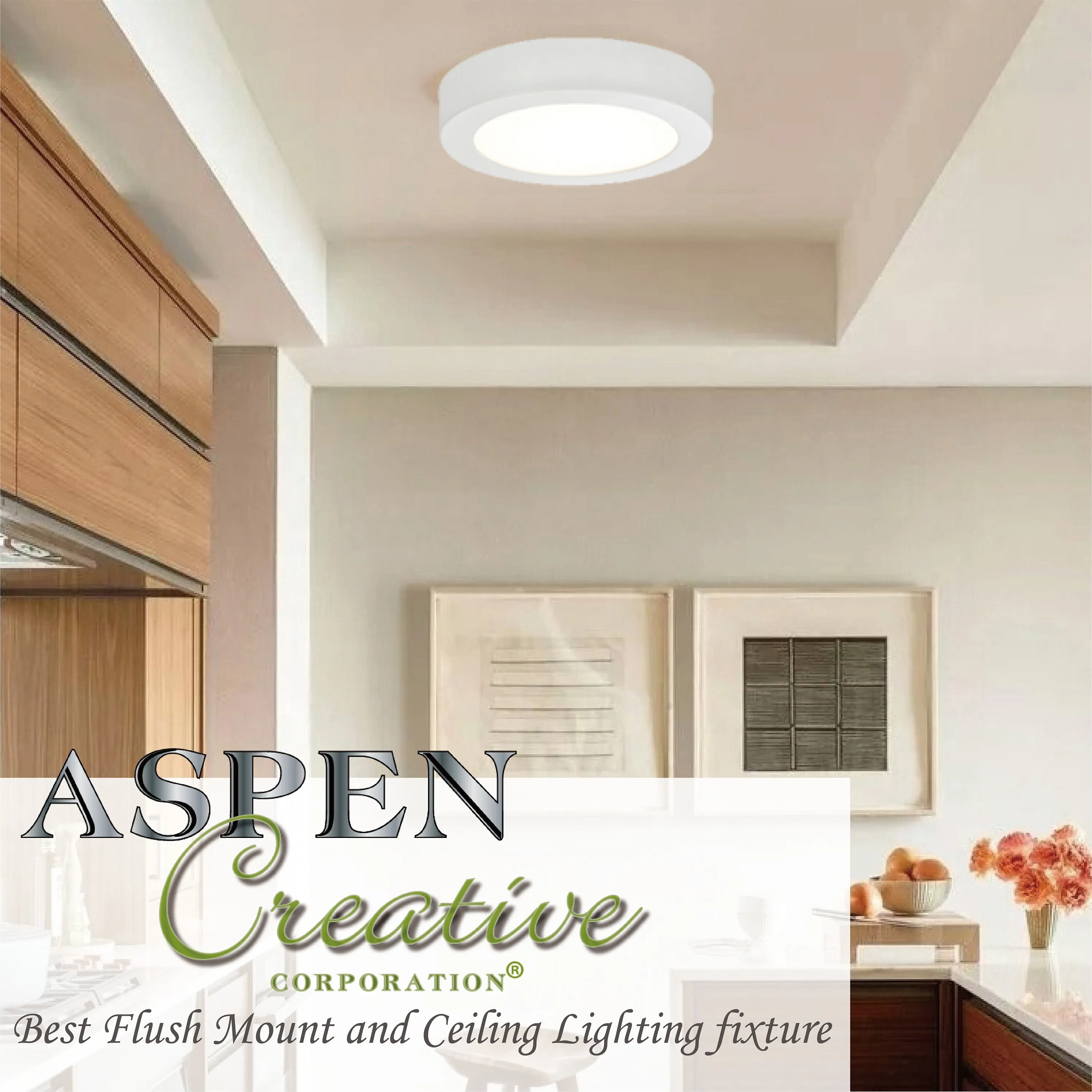 # 63002L-2 LED Large Flush Mount Ceiling Light Fixture, Contemporary Design in White Finish, Frosted Glass Diffuser, 11" Diameter