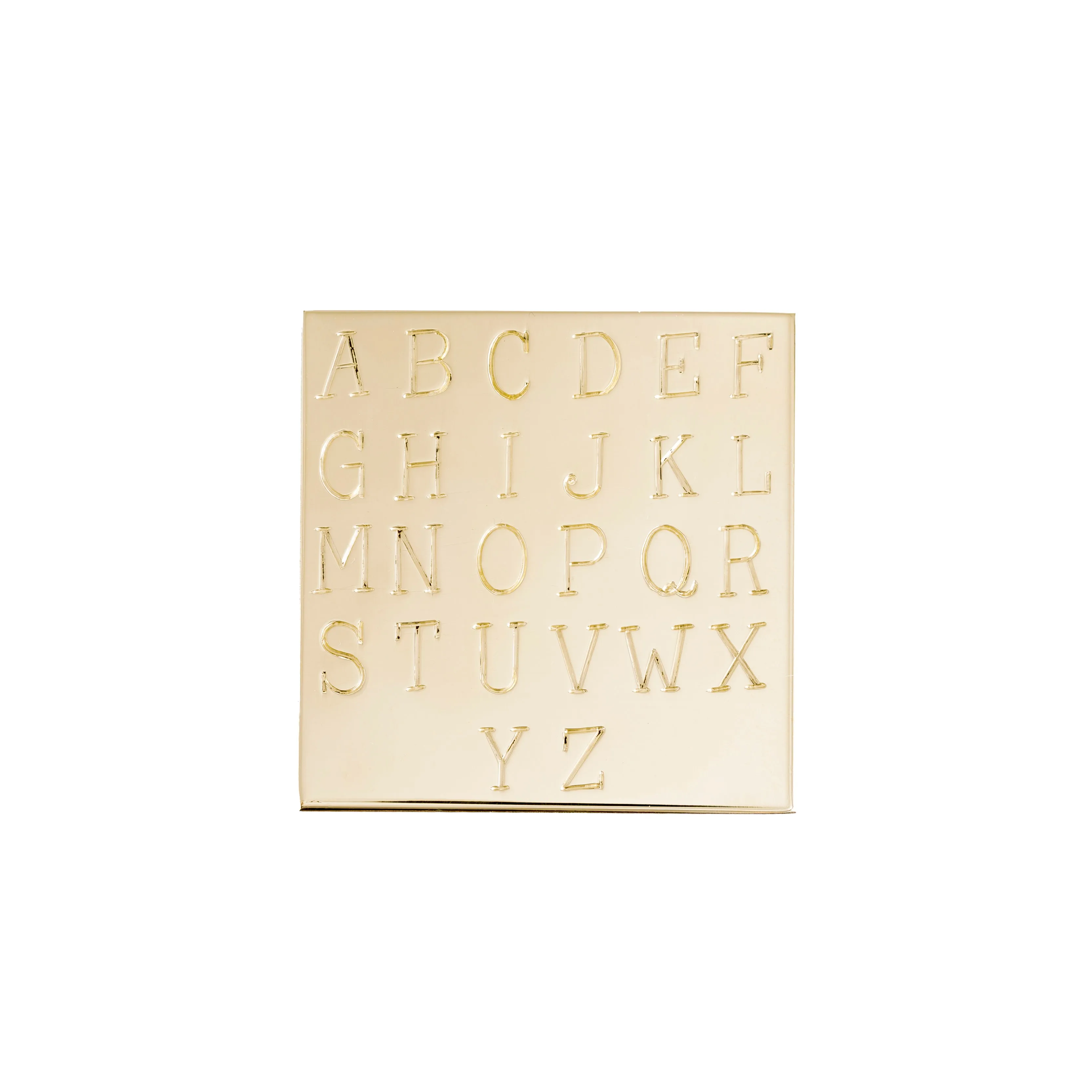 Medallion Signet Necklace